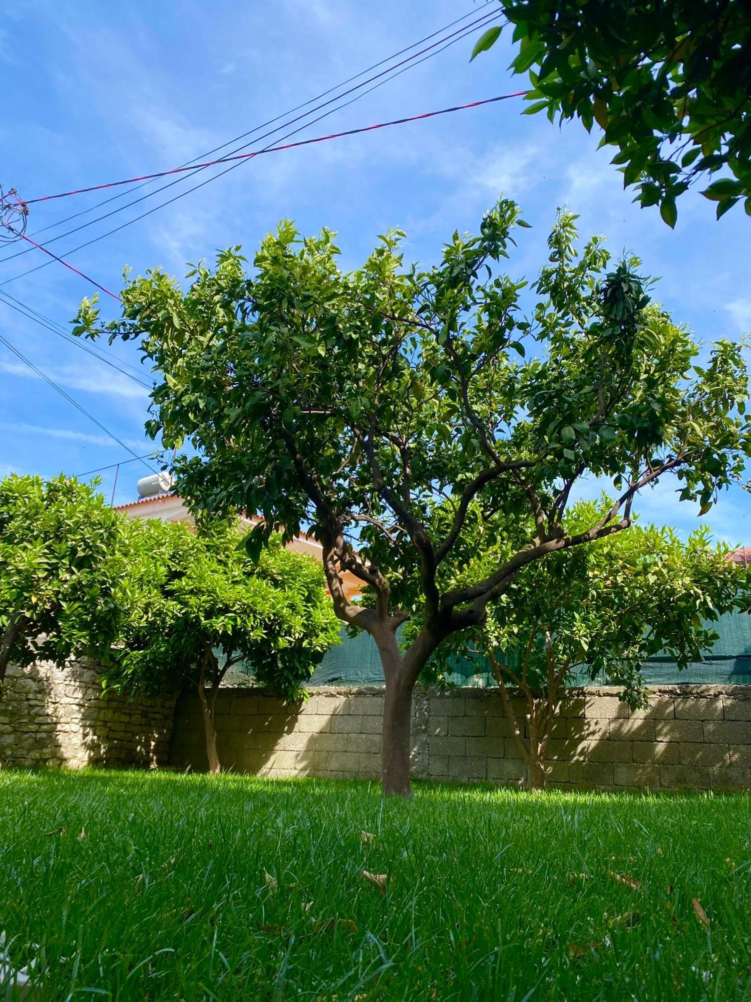 Villa Берат Екстериор снимка